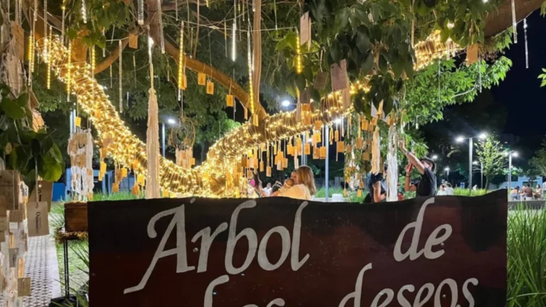 Más de mil personas por día dejan sus intenciones en el árbol de los deseos de Corrientes