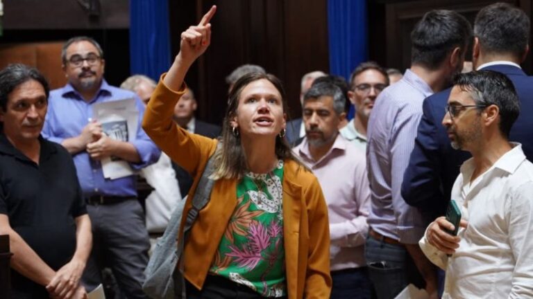 Negociaciones y ajuste encubierto: se postergó la votación del Presupuesto y la Ley Impositiva 2025