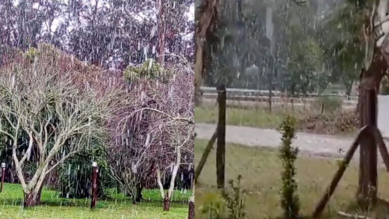 Llegó la nieve a la costa de Buenos Aires: los videos en Miramar y cerca de Mar del Plata